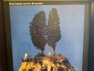 Goodbye Cruel World by Elvis Costello & Attractions, Mobile Fidelity