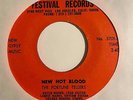 Surf Exotica Garage 45 THE FORTUNE TELLERS New Hot Blood/Gypsy Eyes Festival mp3