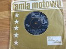GLADYS KNIGHT & PIPS   NO ONE COULD LOVE YOU MORE - TMG 864 - MINT COPY