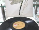 DRAGONFLY THE STRAWBS LP 1970  - AMLS 970  GOOD CONDITION