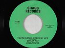 Crossover Soul 45 - Guitar Ray - You're Gonna Wreck My Life - Shagg - mp3