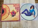 KATE BUSH -The Kick Inside- Rare Picture Disc LP (Vinyl)