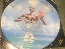 Iron Maiden  Picture Disc Record LP Seventh Son of a seventh son EMI  EMDP 1006