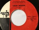 The Twelfth Night (Emotions) GRIM REAPER 45 RARE 1965 Florida Psych Fuzz VG