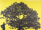 `JOHNSON,JACK` IN BETWEEN DREAMS (US IMPORT) VINYL LP NEW