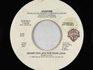 Modern Soul Boogie 45 - Sunfire - Never Too Late For Your Lovin' - WB - VG+ mp3