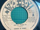 LENNA & TERRY Do It Push It RUDE BOY HALAGALA RBH004 1969 TERRY NELSON Vinyl 7”