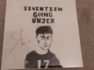 SAM FENDER - SEVENTEEN GOING UNDER DIY SLEEVE HAND SIGNED VINYL LP SEALED