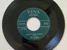 BILLY HOGAN & TWI-LIGHTERS ROCKABILLY VENA RECORDS 45RPM SHAKE IT OVER SPUTNIK