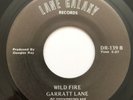 Garratt Lane - Wildfire 45 1970s Private Press Soft Rock / Folk RARE Hear Audio
