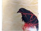 Death Cab for Cutie Transatlanticism 2x Vinyl LP 10th Anniversary Edition