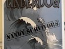 UNDERDOG Sandy Survivors 7” record Nyhc kbd Bad Brains yot