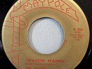 HEAR IT 60's Rocker 45 rpm record The Shades 