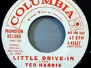 HEAR IT 60's Teener Promo 45 rpm record Ted Harris 
