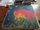 MEAT PUPPETS - II - Lp - 1st Press - 1984 SST Records - Nirvana  Minutemen