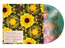 Calvin Harris Feat. Tom Grennan - By Your Side (Picture Disc) [VINYL]