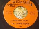 Freaky Hirsute Heavy Psych 45 The Flower Power Mississippi Delta VG+ HEAR
