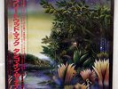 FLEETWOOD MAC TANGO IN THE NIGHT WARNER P-13490 JAPAN OBI, PROMO VINYL LP
