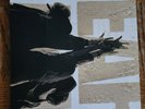 PEARL JAM - TEN  180 GRAM DOUBLE LP EDITION Vinyl