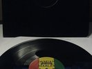 Rare Damian Marley Welcome To Jamrock 12” Vinyl Record Promo JR Gong