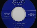 Bill Haley & Haley's Comets 