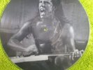 Ultra rare metallica James hetfield picture disc