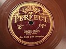 JAZZ HARRY RESER SYNCOPATORS Ginger Snaps / The Cat & The Dog PERFECT 15056 E