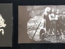 MORBID ANGEL, BLESSED ARE THE SICK,      , 6 x 7