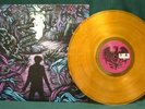 A Day to Remember Homesick 2009 Vinyl LP Record Studio Album Orange Victory