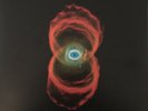 Pearl Jam - Binaural - (2 x Vinyl, LP, Album, Reissue, Remastered) (Mint (M))