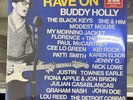 FACTORY SEALED   Rave on Buddy Holly by Various Artists 2011, 2LP 180G