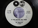 NORTHERN SOUL MOTOWN VINYL MUSIC RECORD IF YOUR MOTHER ONLY KNEW THE MIRACLES WD