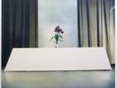 WIRE 'Chairs Missing' Vinyl LP NEW/SEALED