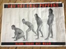 Red Hot Chilie Peppers Promo Poster Blood Sugar Sex Magig Nude Poster Punk Rock 