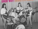 Various Artists - Girls With Guitars Know Why  / Various [Used Very Good Vinyl L