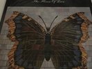 The House of Love - The House of Love Butterfly original vinyl LP