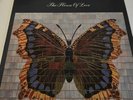 The House of Love - The House of Love butterfly original vinyl LP