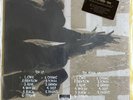 Pearl Jam Ten and Redux Double Vinyl Album w/ Insert 180 Gram Near Mint