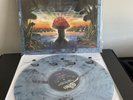 THE ALLMAN BROTHERS BAND Where It All Begins 2LP VG++ BLUE & BLACK SWIRL VINYL