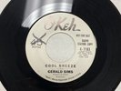 Rare Doo Wop 45   Gerald Sims   Cool Breeze/ There Must Be An Answer   VG++