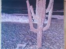 Indian Summer - Indian Summer - UK Stereo Prog Rock Vinyl Record Neon NE 3