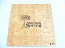 American Spring - Same 1972 UK LP UNITED ARTISTS 1st BRIAN WILSON THE BEACH BOYS