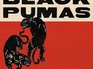 Ato Records Black Pumas Deluxe LP (Vinyl)