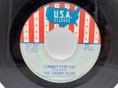 THE CHERRY SLUSH - I CANNOT STOP WITHOUT YOU - 60'S GARAGE Michigan VG