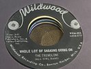 THE TREMOLONS 1st -ALL GIRL BAND-1965 GARAGE MONSTER-WILDWOOD RECORDS VG++