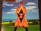DAVID BOWIE EARTHLING 2013 MOV VG+ Vinyl LP-ziggy tin machine nin Alt 1990s