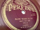 SALTY DOG SAM 78 RPM 1931 BLUES PERFECT 193 ORIGINAL