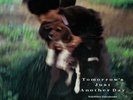 Yukihiro Takahashi/Tomorrow`s Just Another Day MHJL205 New LP
