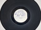 Devon Irons - One Nation - Top Ranking Sounds 12