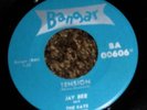 PRIVATE 1964 SD Surf Rock 45 - JAY BEE & THE KATS 